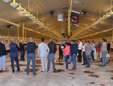 Agreon bestudeert LED-verlichting in pluimveestal