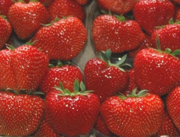 Spaanse aardbeien: rood goud met een bittere bijsmaak