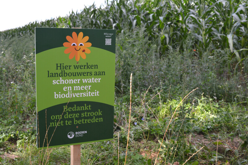 infobordje bufferstroken