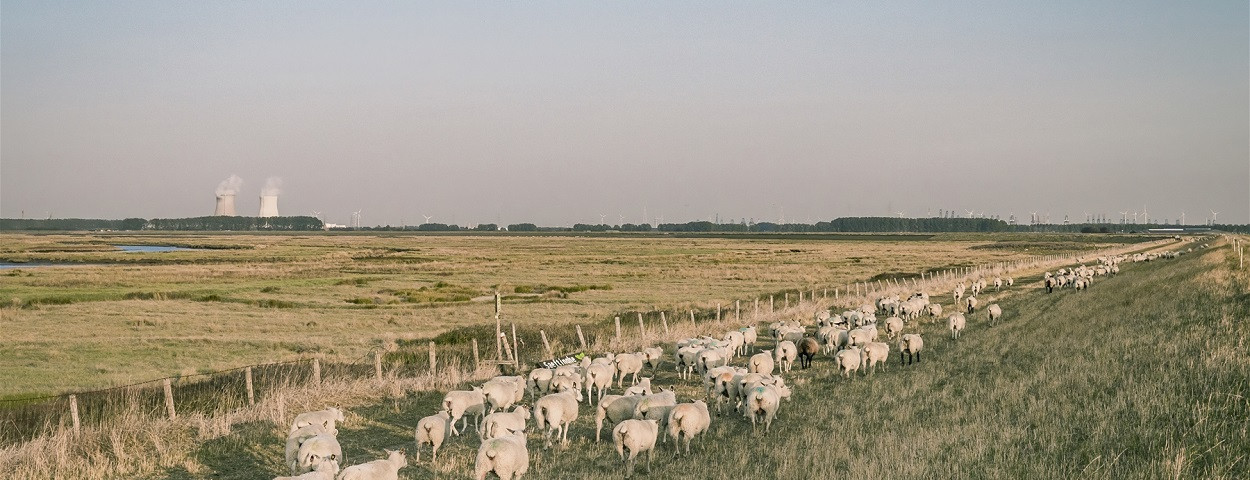 grensparksaeftingheprosperpolder4-copyrightSvenDullaert-1250