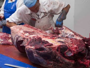 Sociale inspectie klist 18 Waalse vleesbedrijven