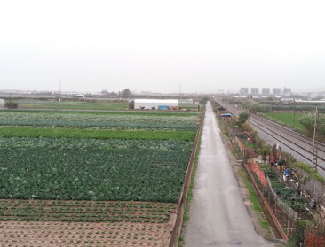 Landbouwpark, voedselpark ... nieuwe perspectieven voor landbouw en stad