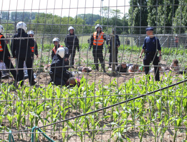 Stijn Bruers wint prijs voor kritisch denken over ggo's