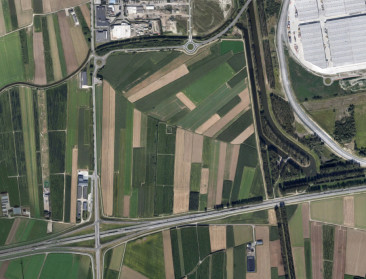 Landbouwtoelevering zorgt voor jobs in Waaslandhaven