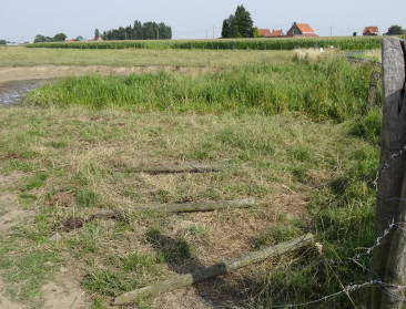 Monitoring wordt belangrijk voor agrarisch natuurbeheer