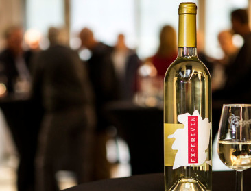 Vinificatieruimte op pcfruit dient opkomende wijnbouw