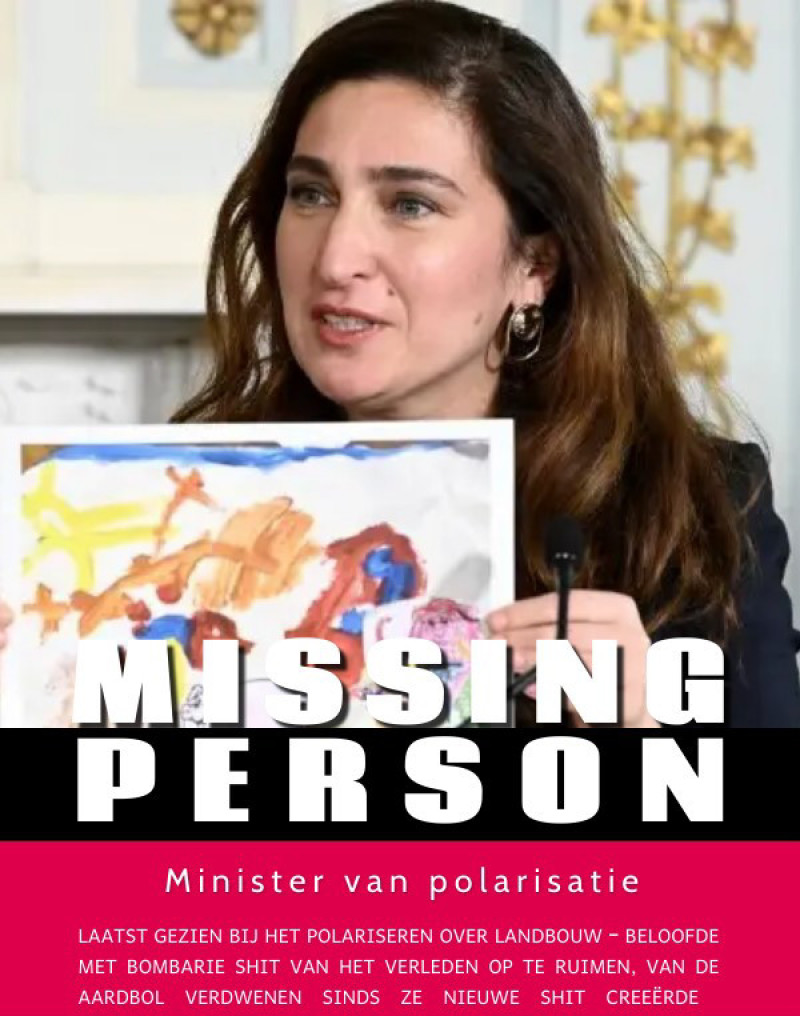 affiche missing Demir