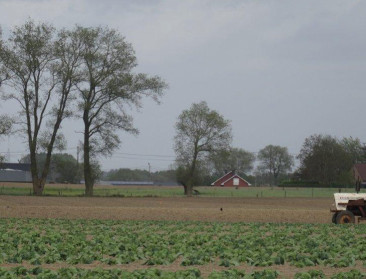 Landbouwsector flirt met armoededrempel