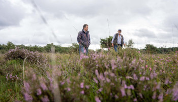Intendant blijft uit in Turnhouts Vennegebied: Niemand lijkt er landbouw en natuur te kunnen verzoenen
