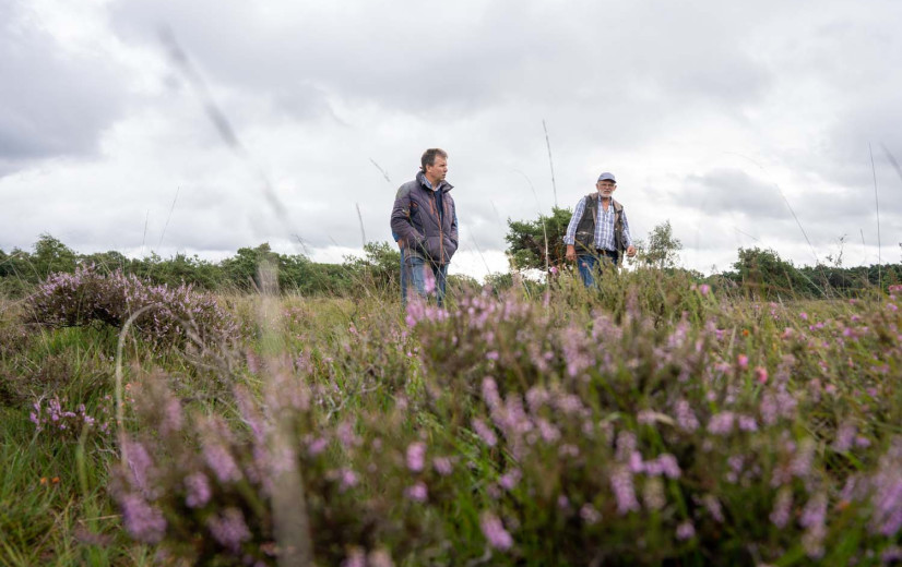 Intendant blijft uit in Turnhouts Vennengebied: Niemand lijkt er landbouw en natuur te kunnen verzoenen