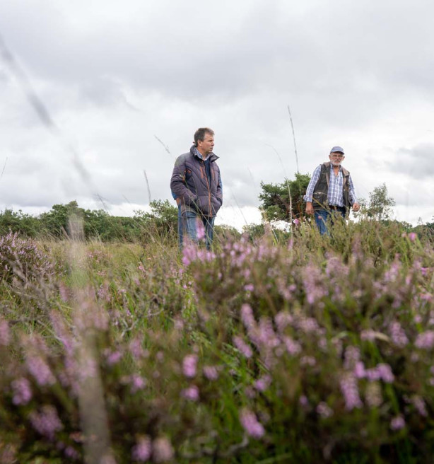 Spanningen stijgen tussen boeren en intendant Turnhouts Vennengebied