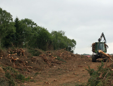 Belgische controle op illegale houtkap vertoont gaten
