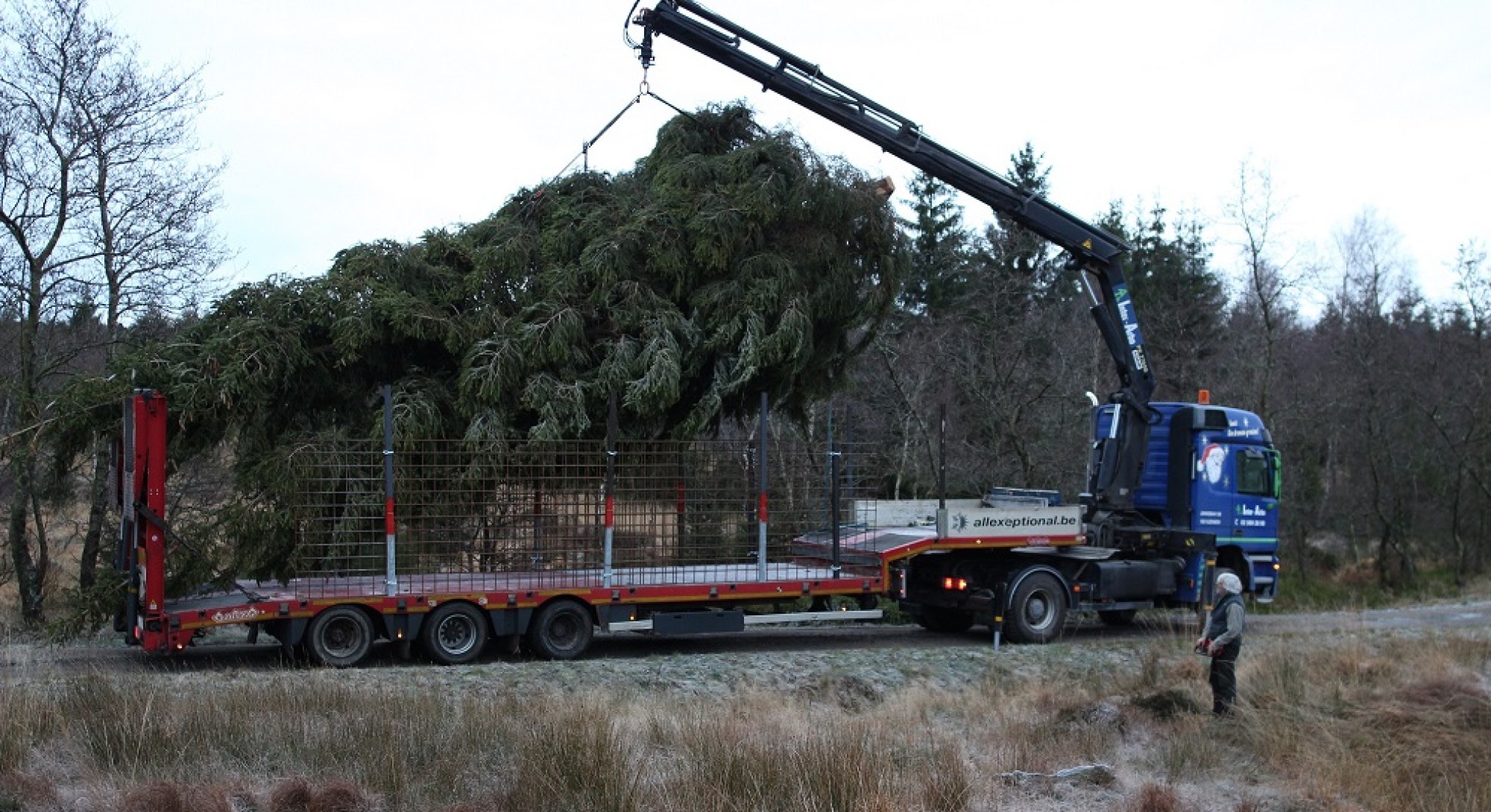 kerstboom--truck-laden-6-1000