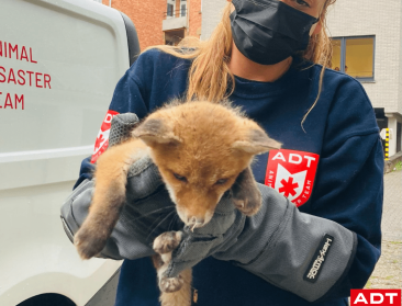 Animal Disaster Team redde al duizendtal dieren in nood