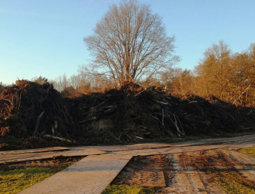"Vlaanderen telt 15.001 sites met zonevreemd bos"