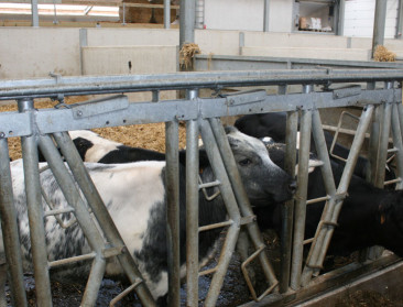 "Roep om acties vanuit vleesveesector is groot"