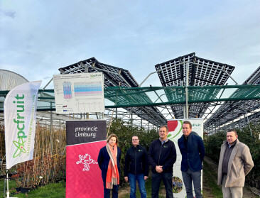 Pcfruit pioniert in onderzoek naar frambozenteelt onder zonnepanelen