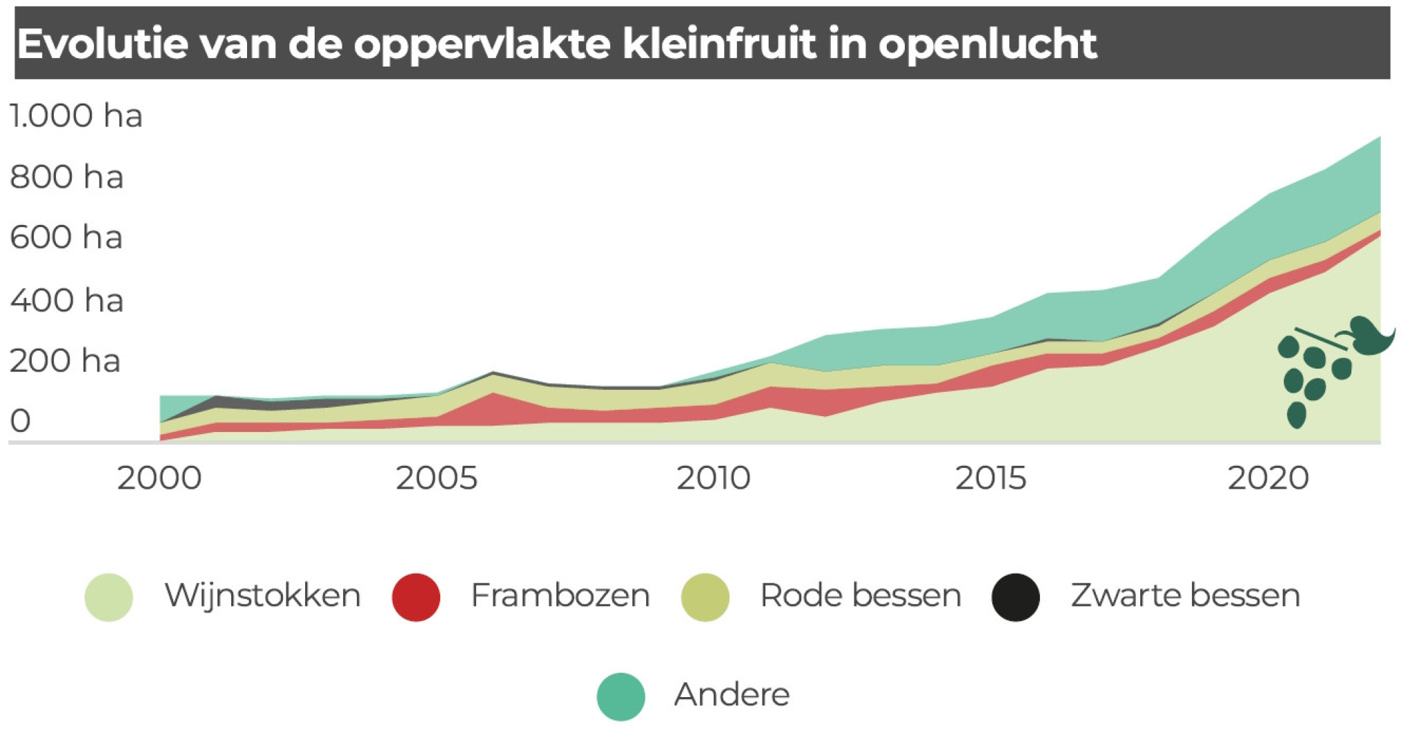 statbelkleinfruit