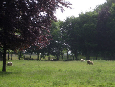 "Specifiek statuut voor natuur in landbouwgebied"