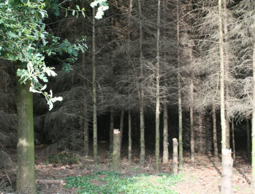 Verlies biodiversiteit één van de grote milieuproblemen