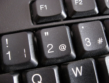 6 procent van boeren heeft eigen online verkoopplatform