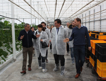 "Land- en tuinbouw kan rol spelen in energietransitie"