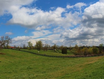 Wat met de open ruimte na de coronacrisis?