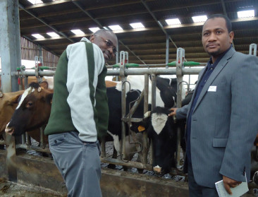 Nigerese boeren verkennen Vlaamse landbouw