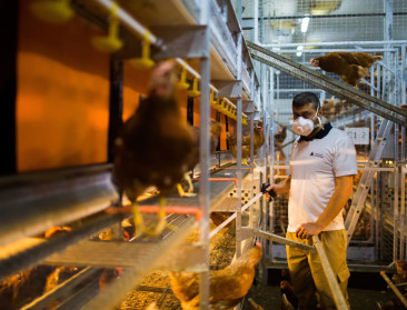 Lastenboekbeheerders krijgen gezamenlijke backoffice