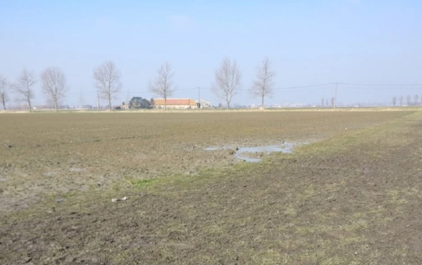 Oproep VLM: “Blijf weg van grasstroken in landbouwgebied”