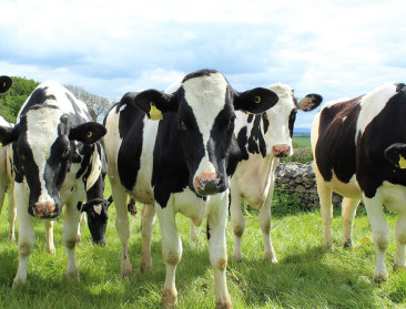MilkBE zet de duurzaamheidsinspanningen in de verf in het jaarverslag