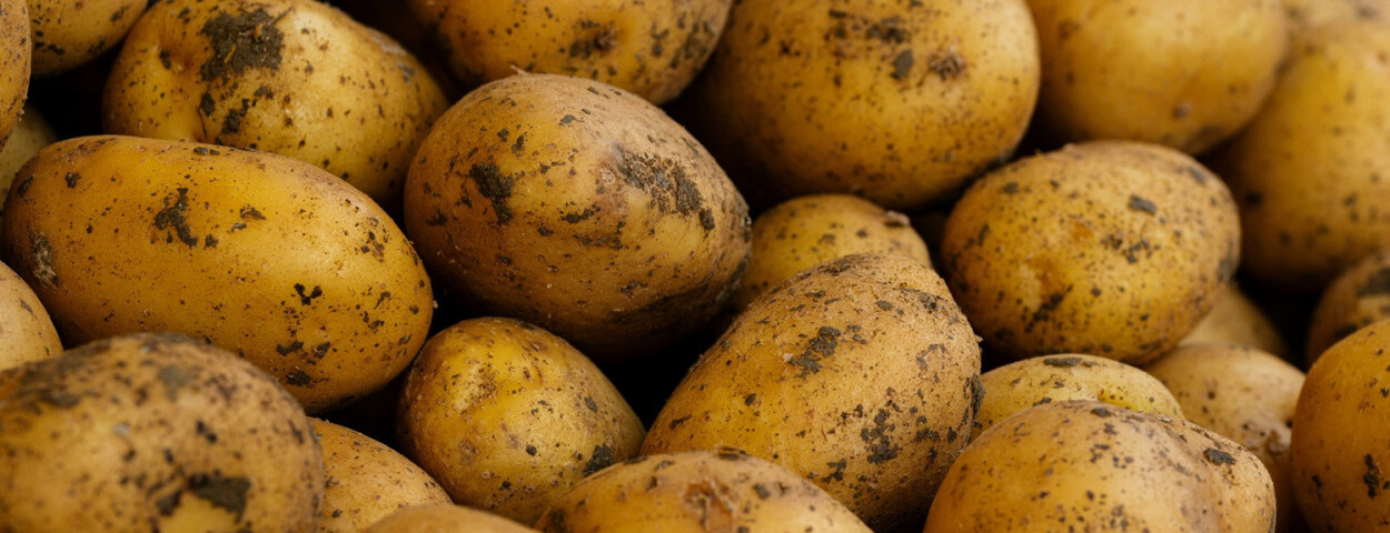 aardappelen-