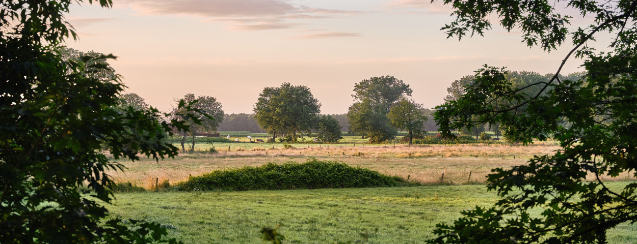 Natuur kempenbroek COPYRIGHT ErwinChristis