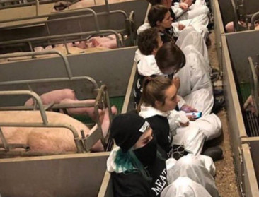 Europol zet actie dierenactivisten in terreurrapport