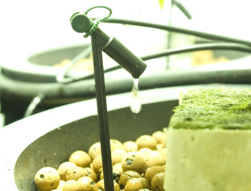 "Water is verwaarloosd thema in klimaatdebat"