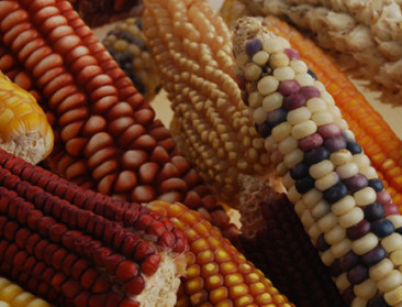 Europa en Mexico willen handelsrelaties upgraden