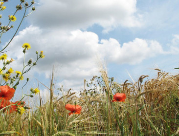 Voedingsketen verduurzaamt met vijf nieuwe action labs