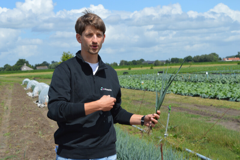 Louis Lippens met prei