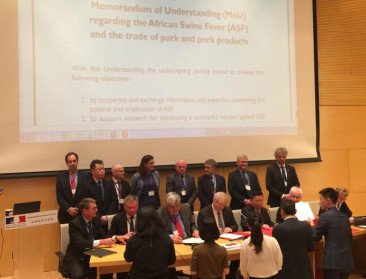 Binnen het jaar opnieuw varkensvleesexport naar China?