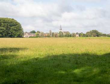 Landbouw in 2050: "Schotel ons niet méér van hetzelfde voor"