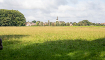 Landbouw in 2050: "Schotel ons niet méér van hetzelfde voor"