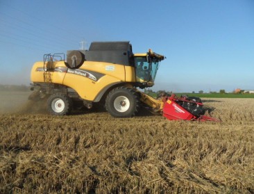 Voedsel verliest al drie jaar aan waarde op wereldmarkt