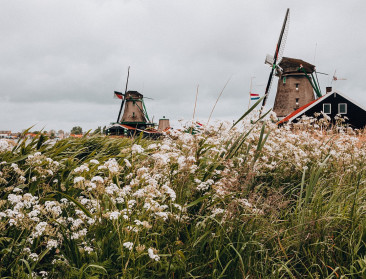 Nederlandse regering tilt plan landbouwsector over de zomer