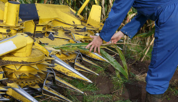 Preventie blijft cruciaal: “Dit jaar al 12 doden in land- en tuinbouw”