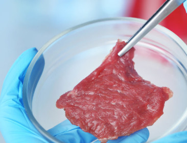 Wat eten we in 2030?