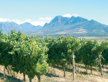 Investeerders bezorgd om eigendomsrecht in Zuid-Afrika