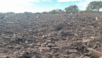 Veel interesse bij Limburgse boeren om met houtsnippers van lokale gemeenten bodem te verbeteren