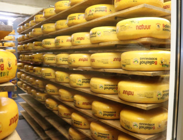 28 Belgische kazen vallen in de prijzen op World Cheese Awards