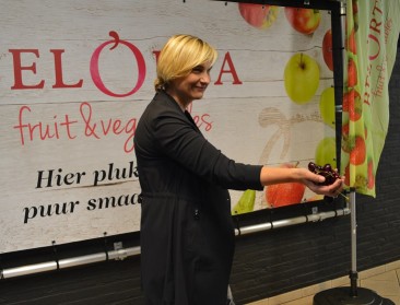 Minister Crevits opent Belgisch kersenseizoen