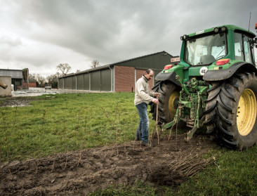 In Limburg planten boeren bomen bij andere boeren
